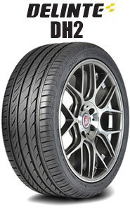 Delinte DH2 Tires